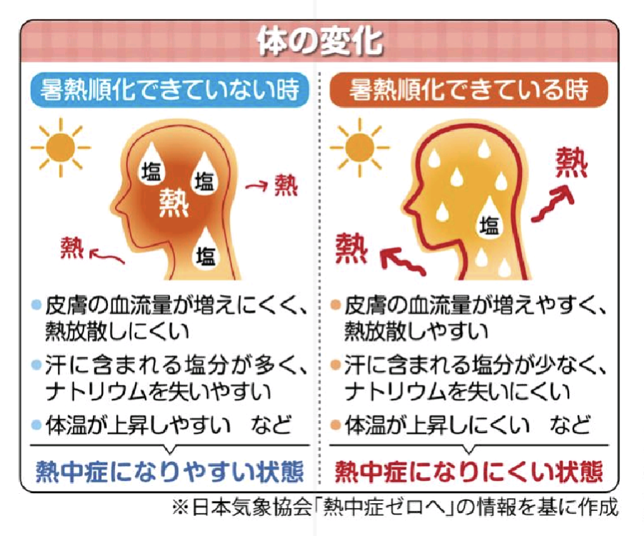 楽天市場 にじさんとほしさん クールロングタオル 夏用 ひんやりタオル おえかきシリーズ オクタニ 熱中症対策 冷感タオル アウトドア雑貨 メール便可: 雑貨＆アートの通販店ベルコモン