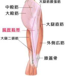 太ももの一点だけが痛いおおば鍼灸院兵庫県芦屋市の鍼灸院