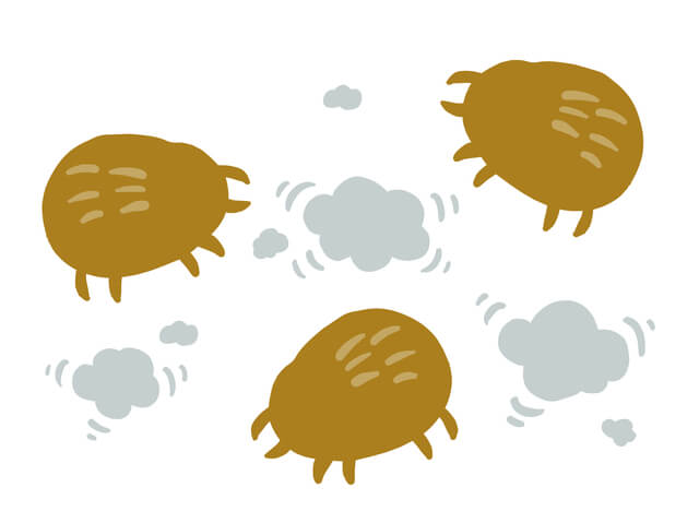 スプーン1杯のホコリにダニが500匹いる!?ダニ対策の情報サイト Danny