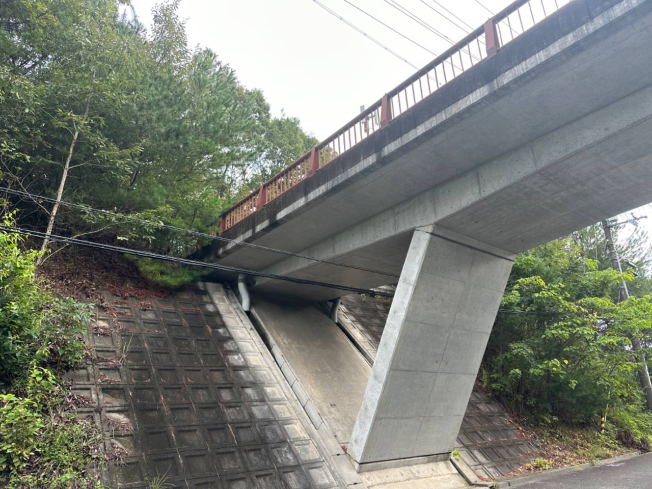 ウォークイン冷凍庫のカビ対策と清潔な状態を保つ方法