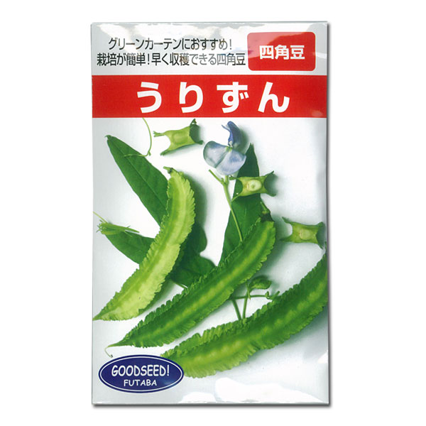 残り２四角豆 30粒うりずん 自然栽培 自家採種 歯ごたえシャキシャキ - メルカリ