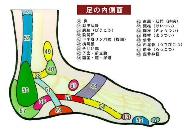 かかとの足つぼが痛い理由は？“ゴリゴリ”する位置と不調の関係を解説からだにいいこと
