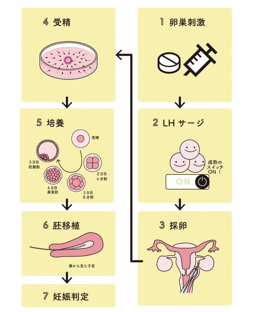 人工授精 AIH と体外受精 IVF の違いとは?不妊治療の流れを解説にしたんARTクリニック