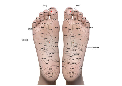 足の甲・足裏のツボとは？リフレクソロジーの反射区マップ！リフレクソロジーAll About