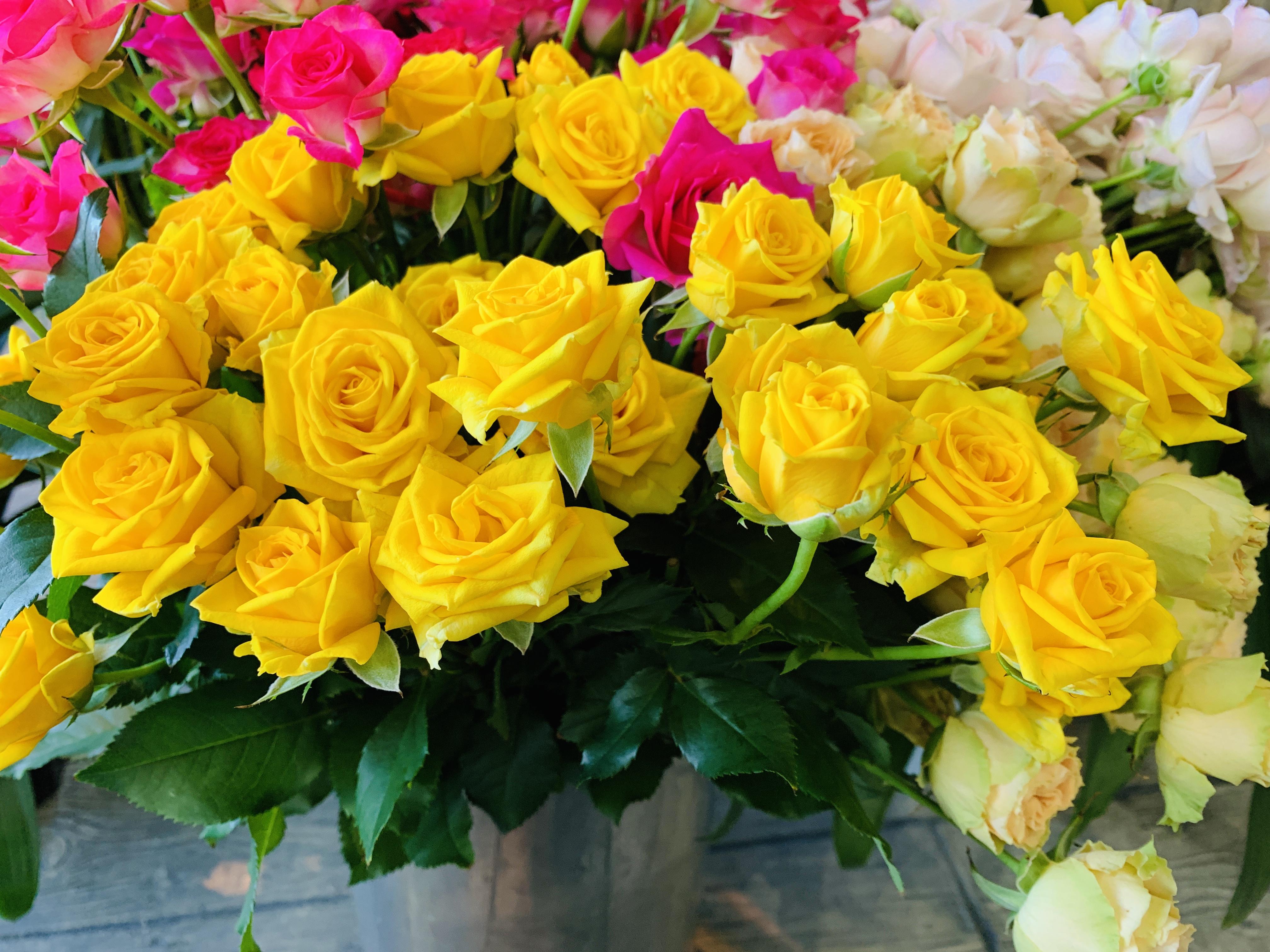 黄色のバラの花言葉・おすすめの渡し方をご紹介！結婚のきもち準備室®結婚についてのカップルのお悩み解消サイト