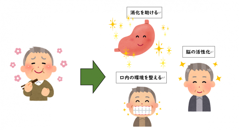 噛む力 噛み合わせ と運動効果って関係あるの？歯とスポーツパフォーマンス向上の秘密を解説します！ - キックボクシング 大阪 Refinasリフィナス キックボクシングジム