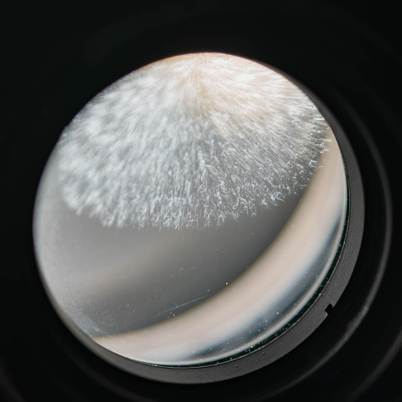 まとめて出します カメラレンズ カメラレンズの「バルサム切れ」とは？発生する原因