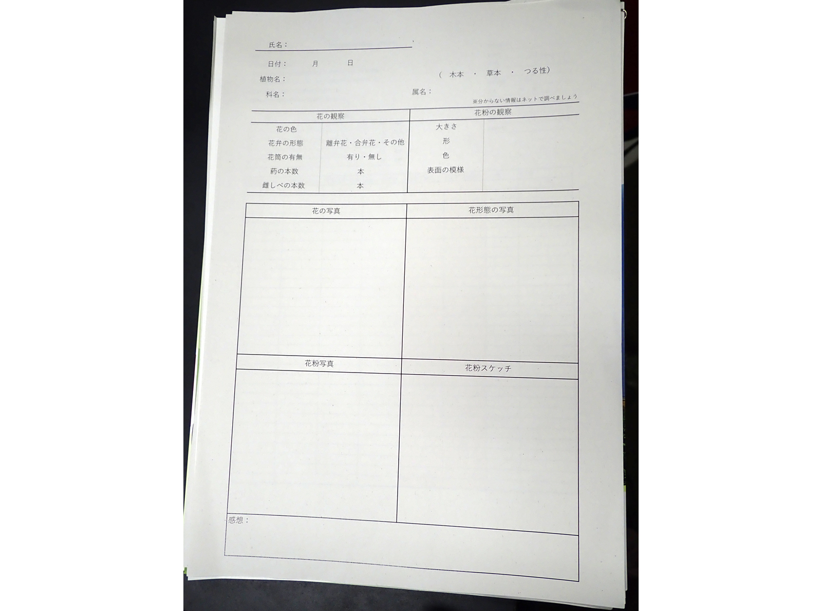いろいろな花粉の観察お茶の水女子大学 理科教材データベース