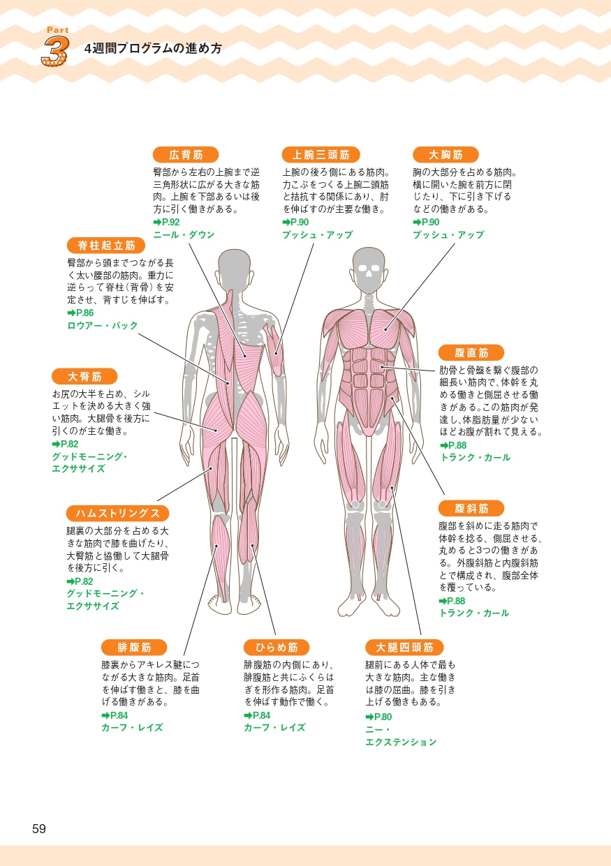 筋トレのための人体解剖図成美堂出版
