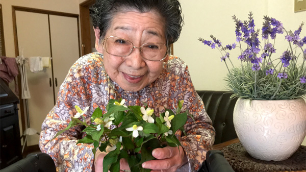 ドクダミの花でチンキをつくる。化粧水や虫刺され薬などにはざま まこと BLOG