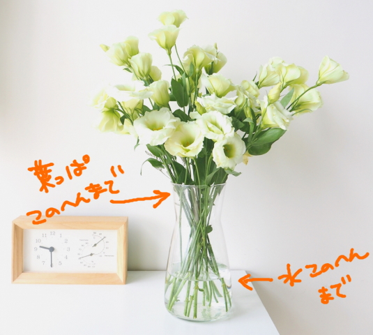 トルコキキョウの育て方・栽培方法LOVEGREEN ラブグリーン