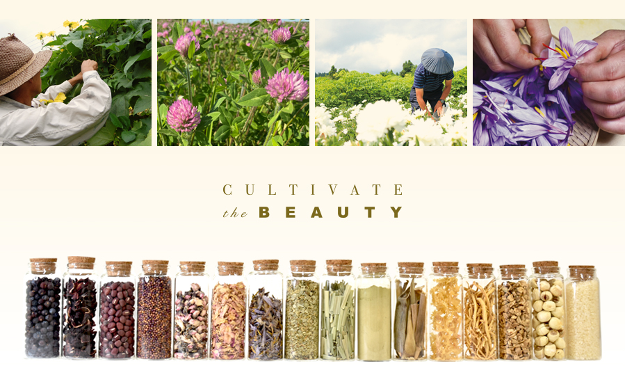 HITOKAN UVシールド 2本セット FRACORA フラコラ 公式オンラインショップ