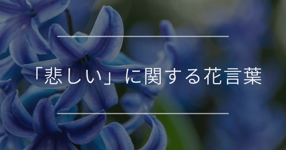 イチイ科の花
