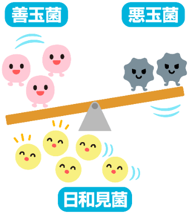 免疫力を高める食べ物はこれ！管理栄養士が選ぶおすすめレシピ7選2ページ目- macaroni