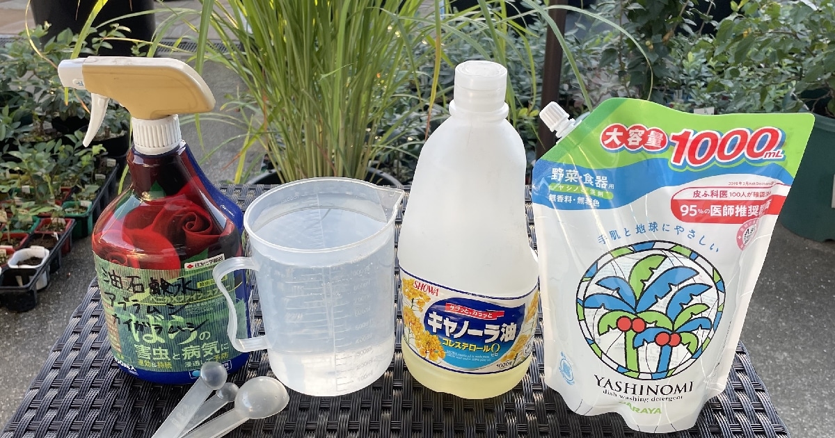 カメムシにミントは効かない？ハッカ油を使ったスプレーの作り方を解説 - くらしをアゲる応援部- 株式会社ジー・ムーブ