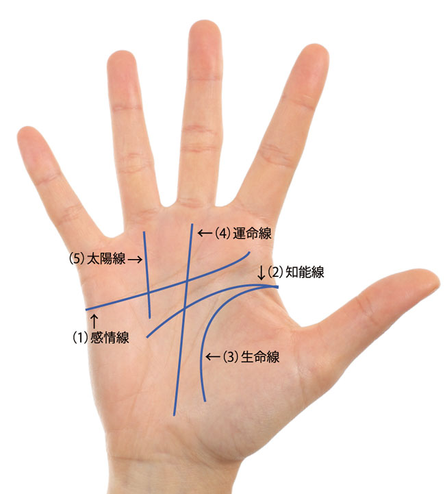 私の手相は素晴らしいらしいです ^_- -☆OHK 岡山放送