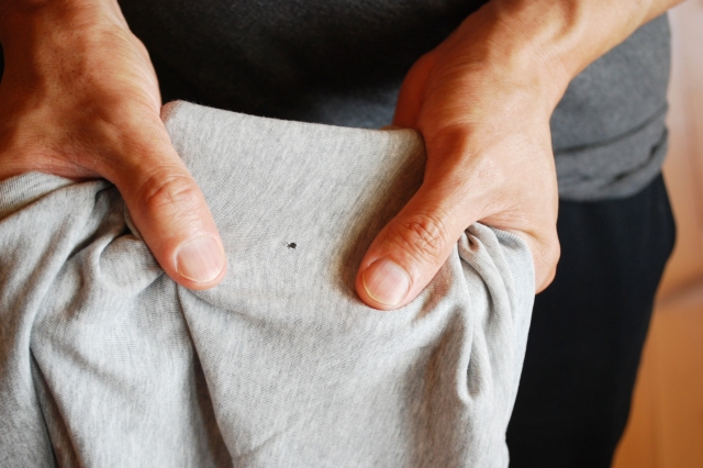 服に虫食い・穴が開く原因と修理・補修方法！正しい保管・防止方法やおすすめ防虫剤5選もaraou アラオウ