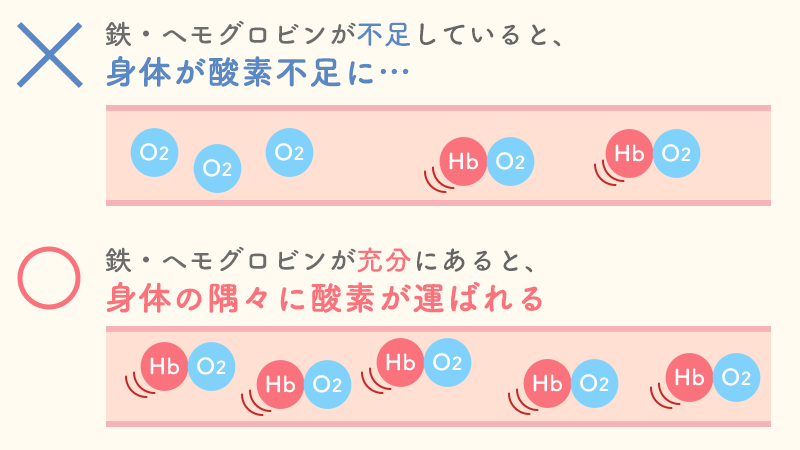 血液専門医が解説 「貧血」「赤血球が少ない」といわれた方へ 上野駅2分 内科・血液内科・糖尿病内科上野御徒町こころみクリニック