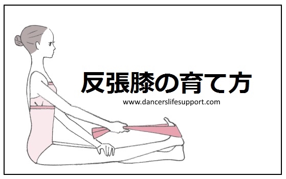 反り腰、前ももとふくらはぎの張り、膝のお皿周りの痛み、膝裏 膝窩 が痛い。それ、反張膝が原因かも？藤沢の整体「ふじさわ整体院」医師も推薦の施術