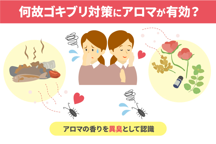 ゴキブリが嫌いな匂いとは？効果的な香り・おすすめ芳香剤・予防策まで徹底解説！暮らしトク