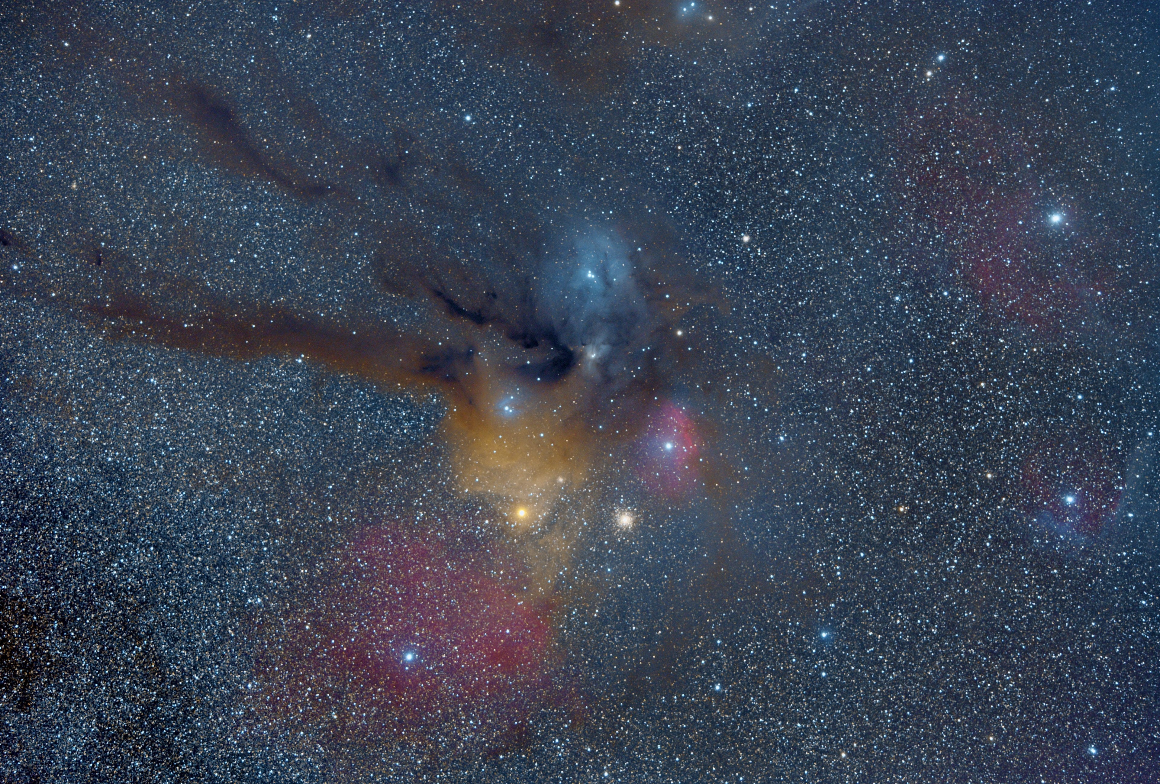 あの星なあに？第1話「１等星ってなあに？」愛知県の星空の聖地“奥三河”星空観察案内サイト