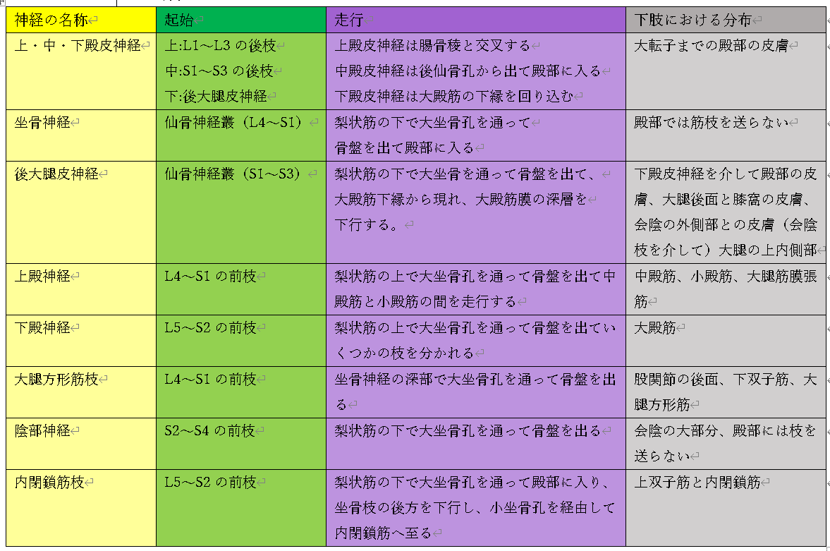 脳神経と脊髄神経はどう違うの？看護roo! カンゴルー