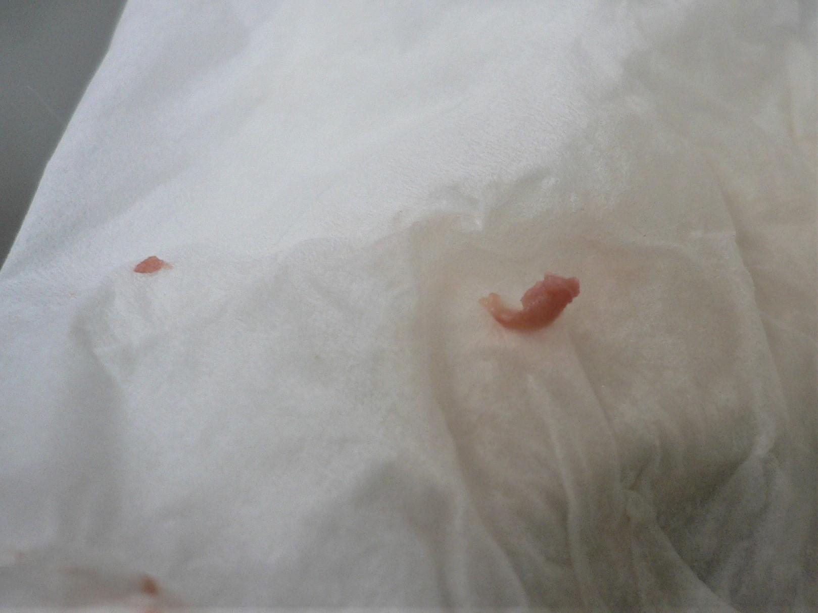 猫や犬の腎不全・腎臓病の症状緩和ヒント 慢性腎不全・腎臓病など- ＜コルディ研究室＞