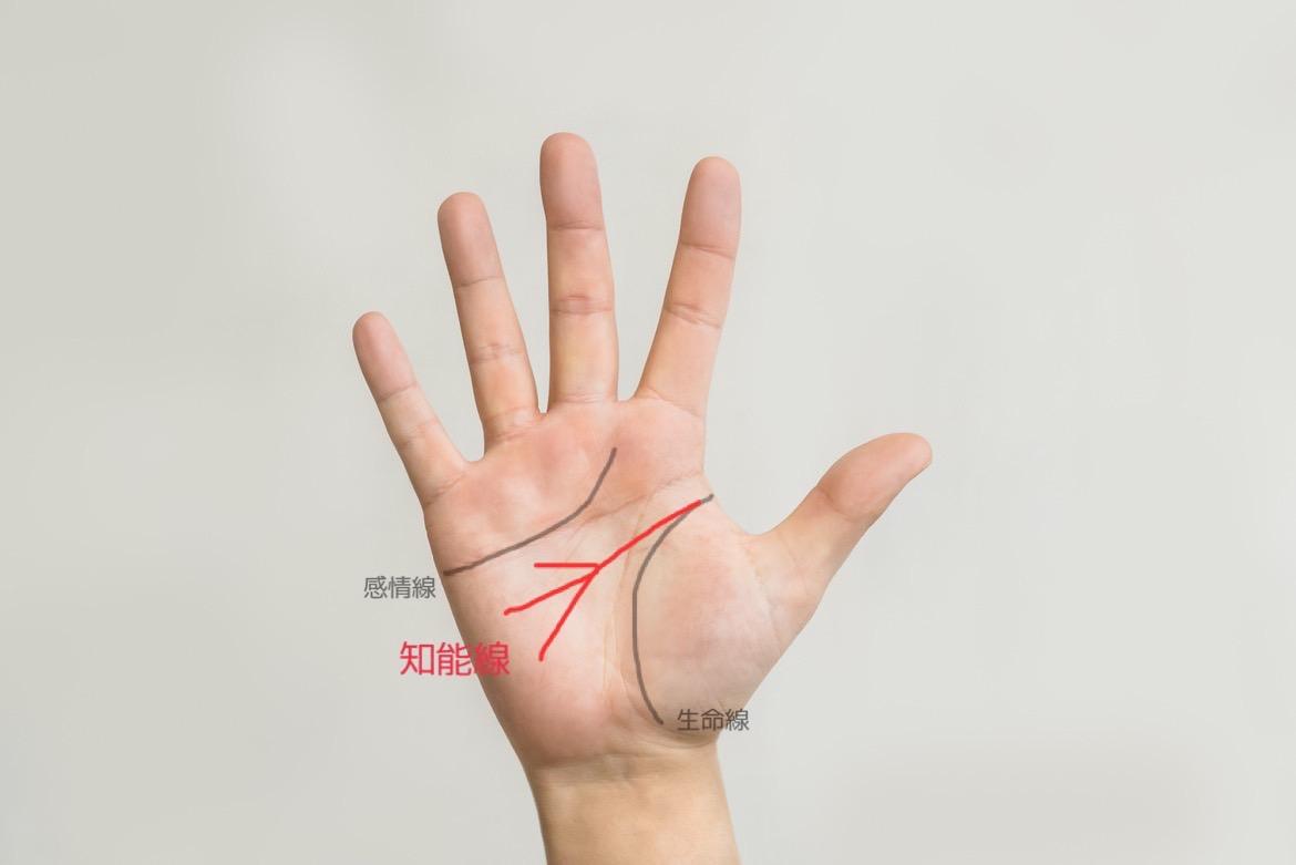 運命線で転機が分かる？薄い、ない、複数など手相を解説諒設計 りょう アーキテクトラーニング