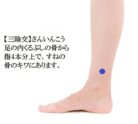 毎月、つらい「頭痛」を繰り返します森のひろば