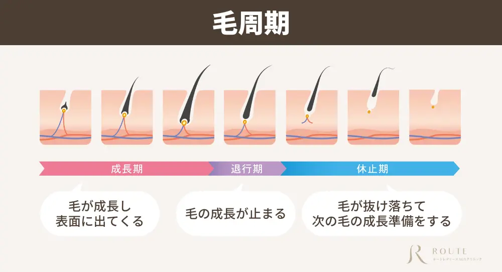 枕についた抜け毛は平均どれくらい抜ける？20～30本はAGAになる？吉祥寺でAGA・薄毛治療ならスーパースカルプ発毛センター吉祥寺駅前店 公式
