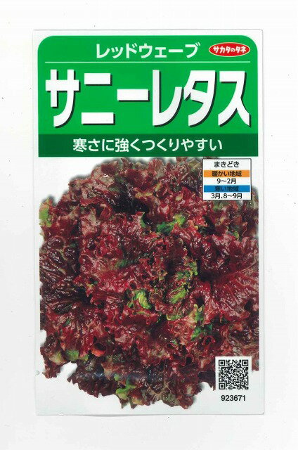 サニーレタス - カロリー 栄養成分 計算カロリーSlism