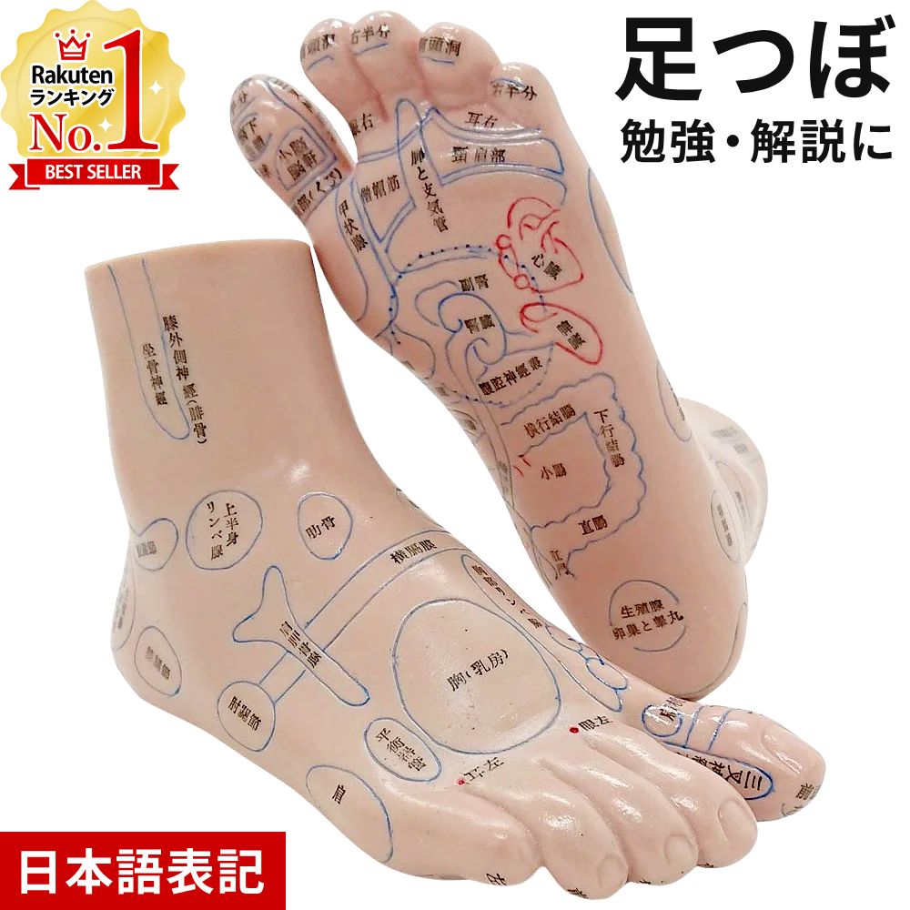 足の甲のつぼ位置図と効果：身体のつぼ＆足ツボ： 陰陽って何？知って得する陰陽バランスと食の健康法！