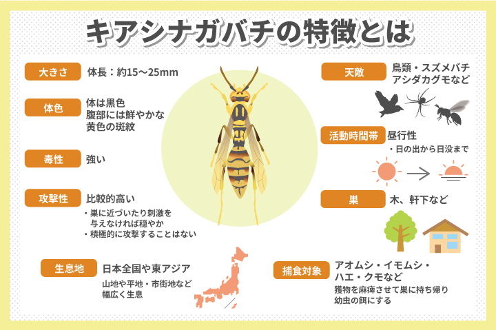 アシナガバチに刺されたときの応急処置～病院に行く前にできること～レスキューラボ