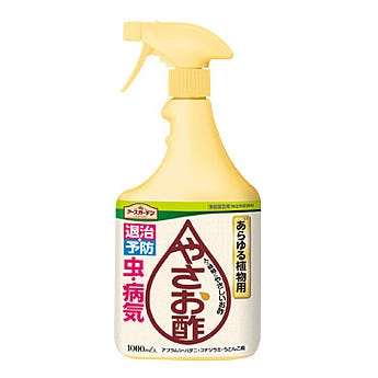 バラや観葉植物に使える殺虫剤まとめ！害虫駆除におすすめなものは？BOTANICA