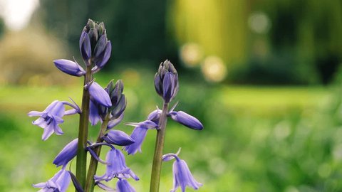 株式会社児童英語研究所のプレスリリースPR TIMES