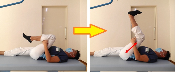 姿勢別のハムストリングスストレッチ 全18種について介護ソフト・介護システムならリハブクラウド