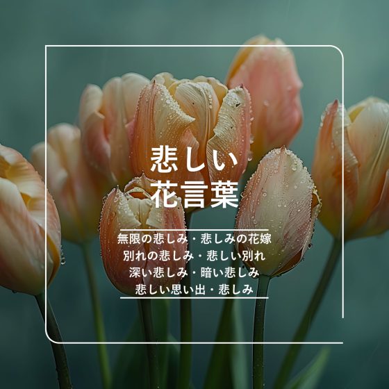 恋愛の花言葉 117選 愛、片思い、恋人、失恋、初恋、告白 花言葉-由来