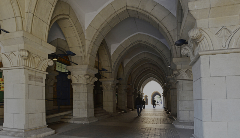 スタッフ紹介法人概要医療法人社団ゆみの