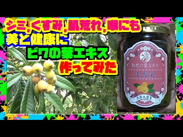 びわの葉エキスの作り方オリーヴ治療院渋谷区 鍼灸 ビワの葉温灸 美容鍼