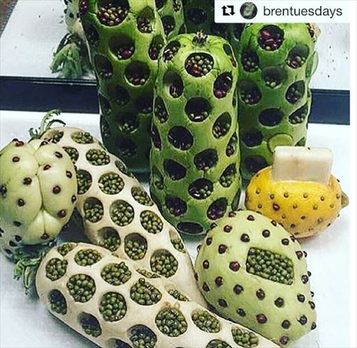 ぶつぶつが怖い。穴が密集している状態を極端に恐れる「トライポフォビア」の正体とは？ 英研究 ※閲覧注意カラパイア