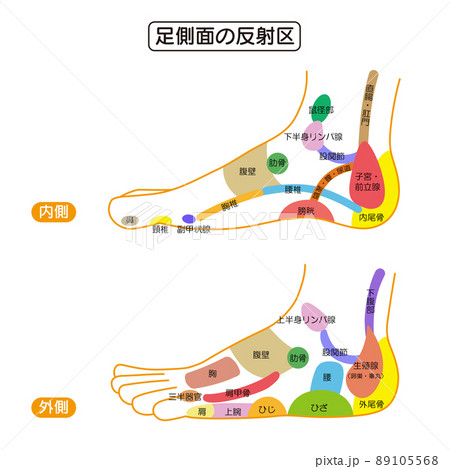 足裏マッサージのやり方とおすすめグッズ ツボを覚えて流れをよくしよう！キナリノ