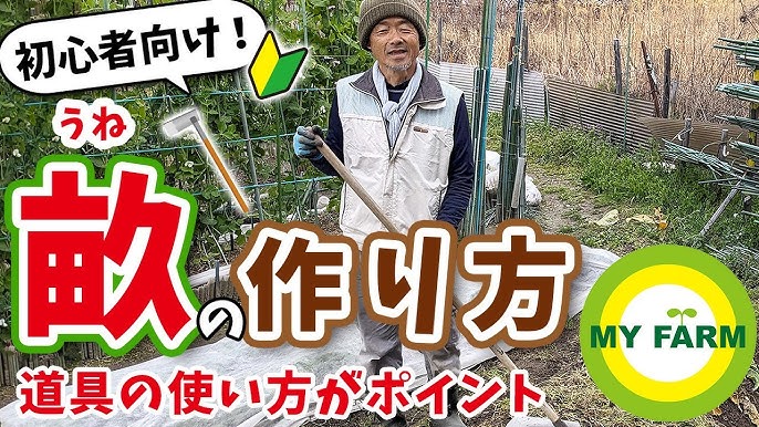 いちばんやさしい家庭菜園の入門書『はじめてでも大収穫！野菜づくり超入門秋冬＆春準備編』-みんなの趣味の園芸