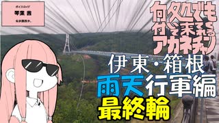 世界で、都内で、旅をしながら…十人十色のワークスタイル〜株式会社トラベロコ（前編） | リモートワークラボ