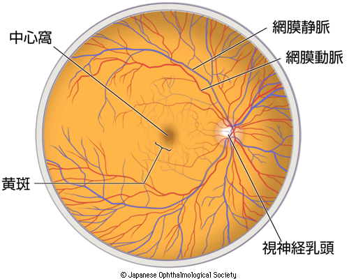 血眼 ちまなこちめ 充血的眼睛，紅眼。, 拚命。 是什麼意思？-日文字典，日文中文 繁體 字典Mazii