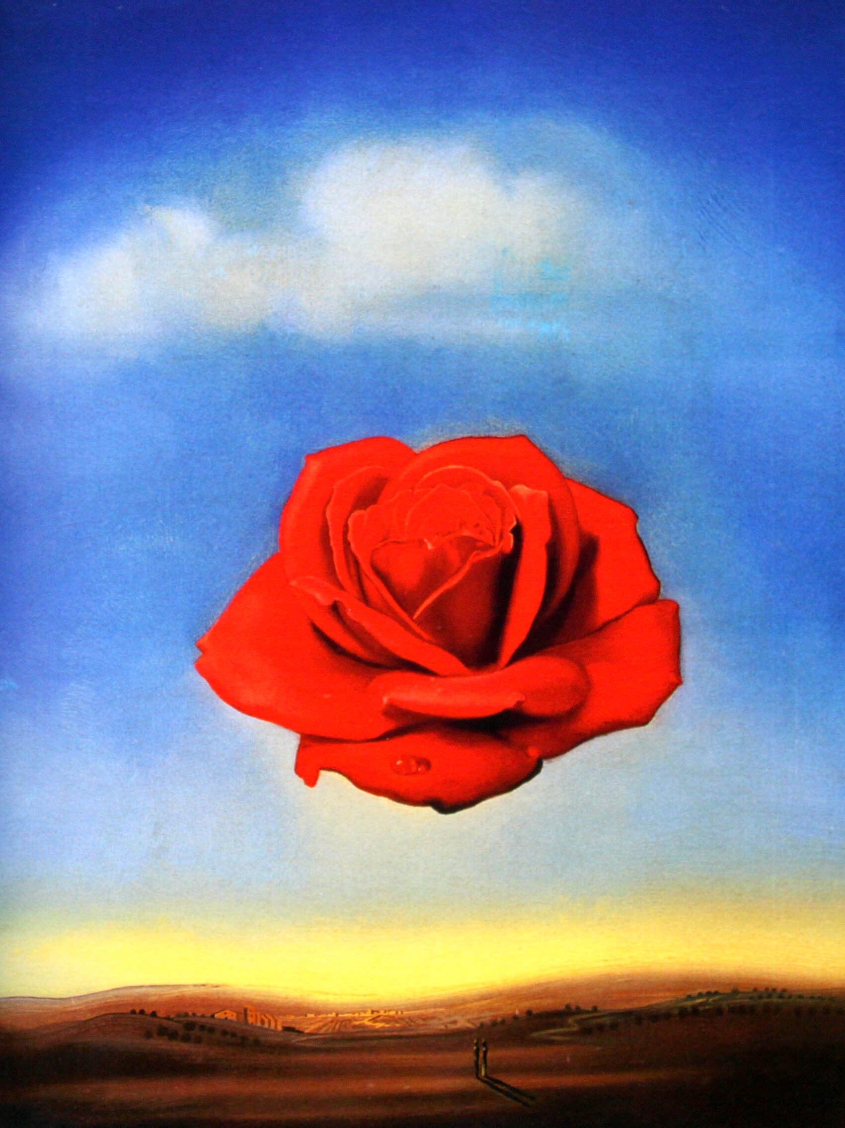 瞑想 瞑想する男 東インド人男性 - Pixabayの無料画像