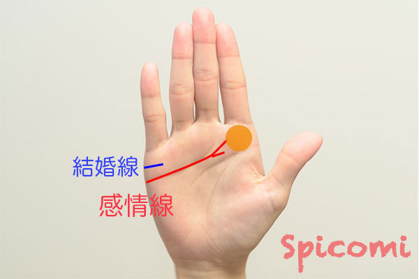 手相 知能線 頭脳線 が２本に枝分かれしている人の5つの傾向と運気を良くする対策 – にしけいポン