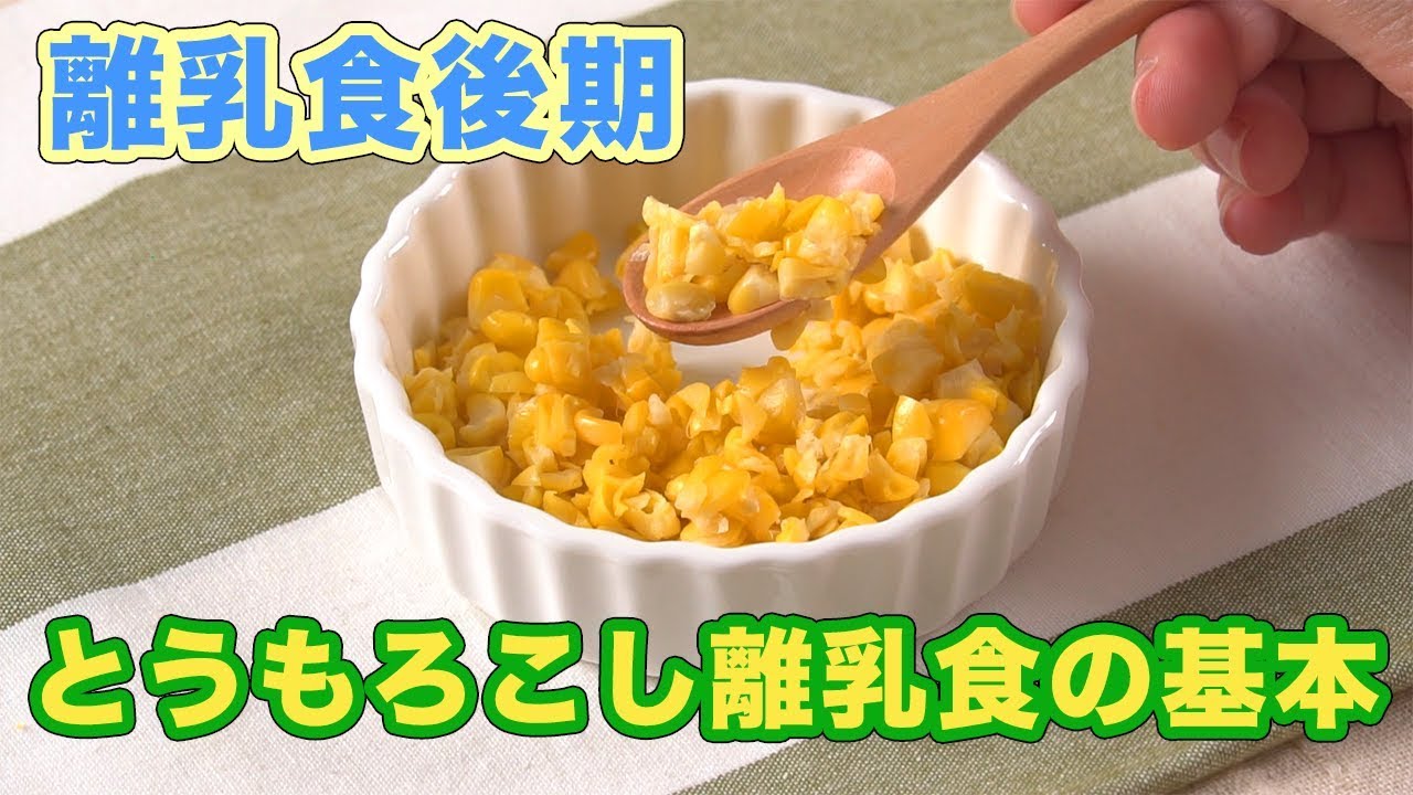 レビュー特典 こどもこんぽた 100g×1袋 離乳食完了期 離乳食卒業 1歳 国産 偏食 少食 ポイント利用 出荷目安：ご注文後3日〜5営業日:すなお食堂 - 通販 - Yahoo!ショッピング