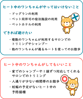 犬の生理 ヒート の出血期間や症状は？発情期中に気をつけること - petan
