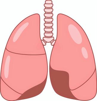 健康な肺のキャラクター イラスト素材6739636- フォトライブラリ