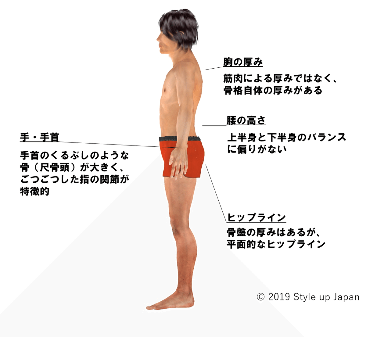 世界中年男性の体型比較 「日本人男性が最も小さい、韓国は？」Joongang Ilbo中央日報